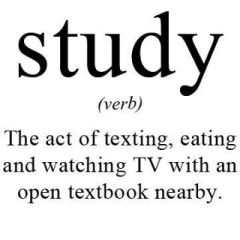 study-noun